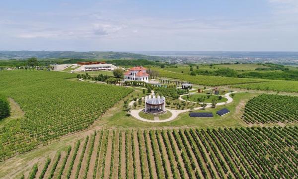 Avincis Winery - Vila Dobrusa - Dragasani Vineyard