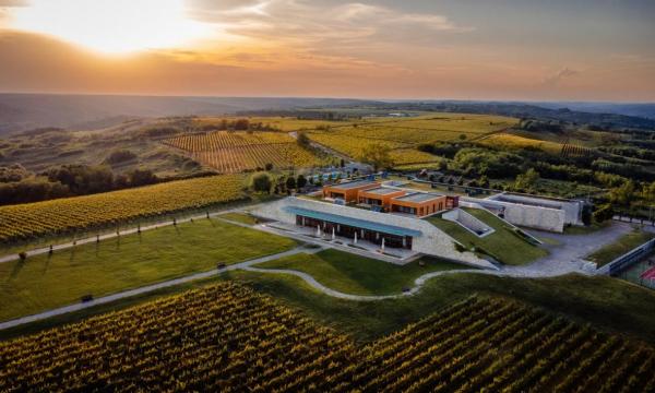 Avincis Winery - Vila Dobrusa - Dragasani Vineyard