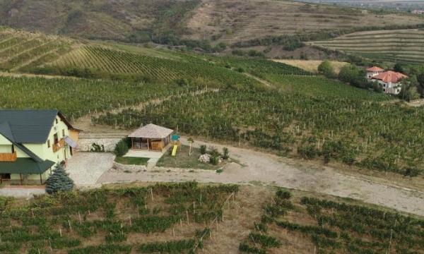 Crama Basilescu / Casa din Vie - Prahova