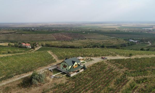 Basilescu Winery - Casa din Vie - Prahova