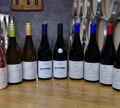 Crama Ferdi - Prahova