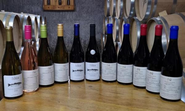 Crama Ferdi - Prahova