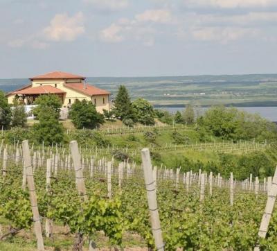 Crama Ştirbey -  Drăgășani