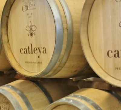 Domeniul Catleya - Mehedinți