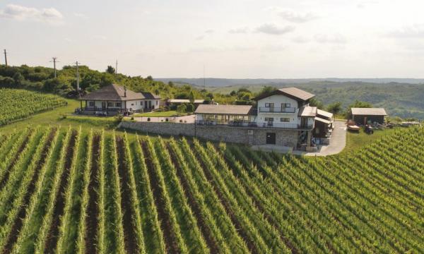 Domeniul Drăgași - Drăgășani