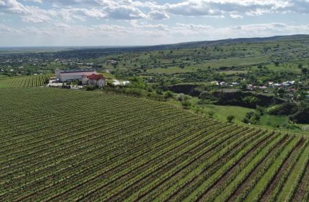 Evadare în Dealu Mare, 27-28 Septembrie 2025 - Tur de crame, degustări de vinuri și povești autentice