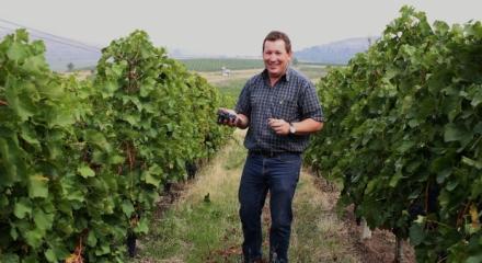 Interview with oenologist Albertus van der Merwe, wines from the New World at Tohani Estate