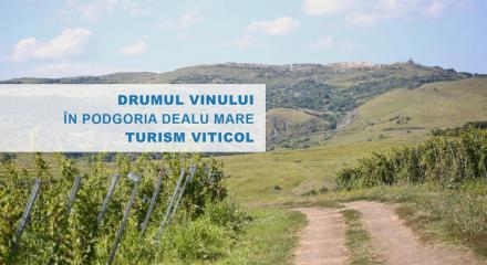 Drumul vinului în Podgoria Dealu Mare - Oenoturism