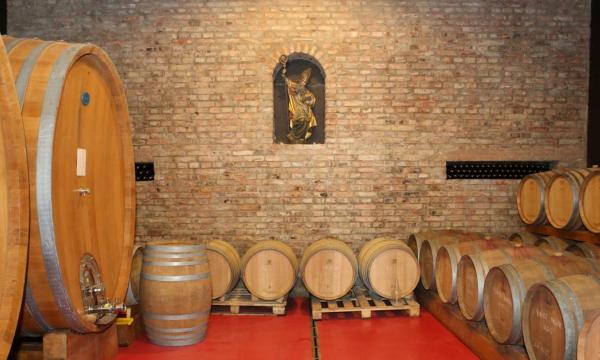 Villa Vinea Winery - Mures