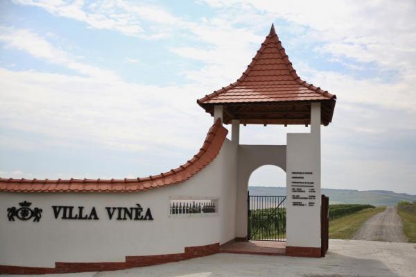 Villa Vinea Winery - Mures 