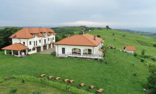 Bauer Winery - Dragasani