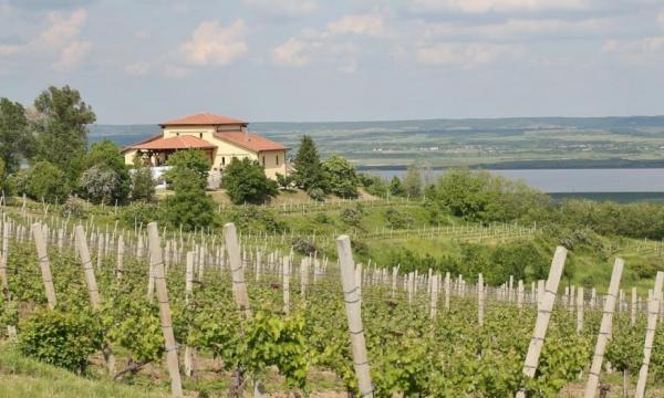Stirbey Winery - Dragasani