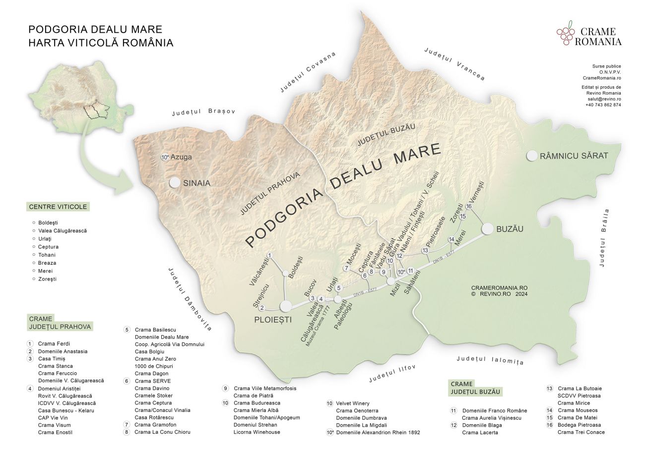 2024 RO Dealu Mare harta viticola