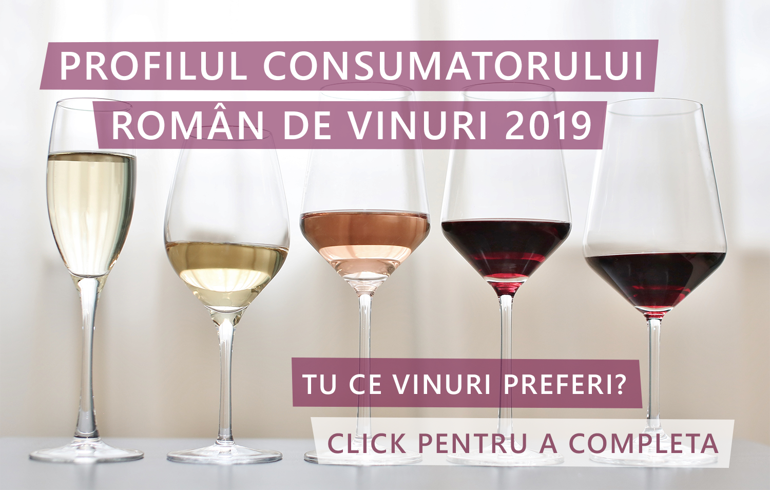 profilul consumatorului roman de vinuri 2019