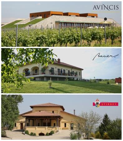 15 iulie 2016 |  Vizite la crame și degustări de vinuri în Drăgășani 