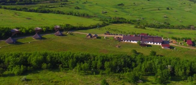 Dacilor Farm