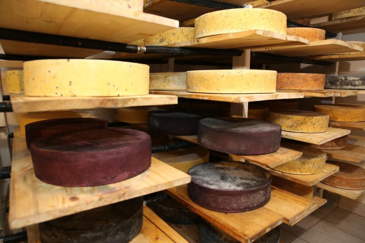 MANUFACTURA DE BRANZA, Romanian cheese makers
