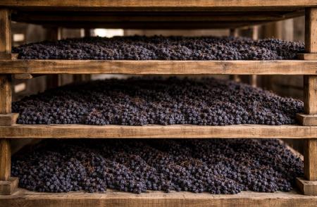 Metoda Appassimento - secretul vinurilor intense și expresive