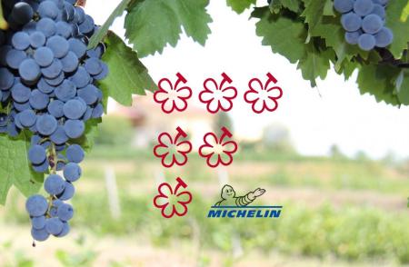 The MICHELIN Guide își extinde expertiza în recomandări și introduce o nouă distincție în lumea vinului