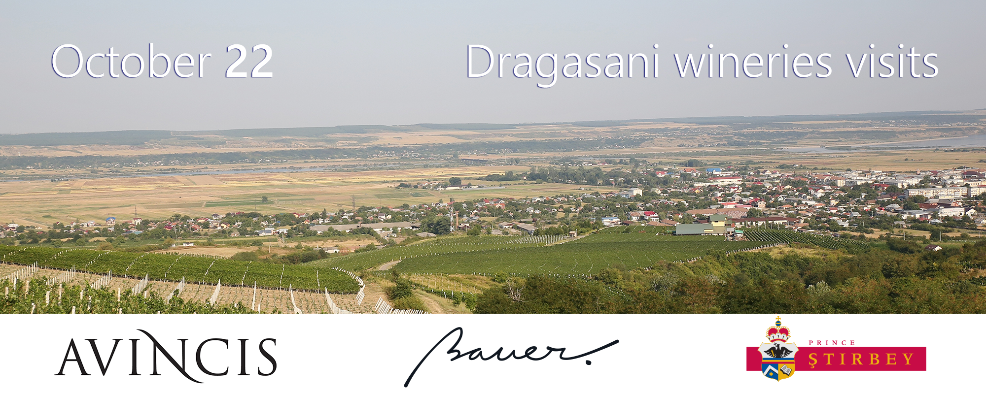 Dragasani Wineries visits